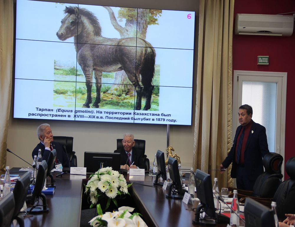 قامبار اتا ت ۇلىگىنە قولداۋ كەرەك
