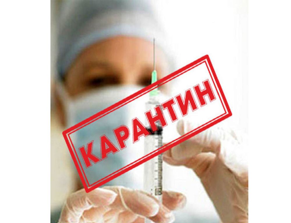 وسىمدىك كارانتينىنە وزگەشە كوزقاراس قاجەت
