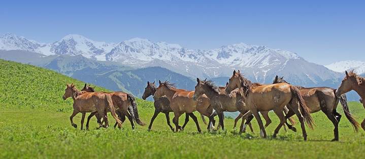 قى­زىل­ۇي اۋىلىنىڭ العاشقى كىرپىشى قالان­عانىنا 105 جىل تولدى
