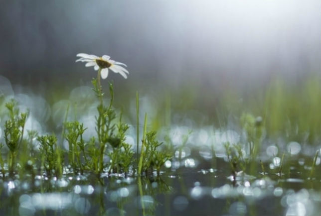 دەمالىس كۇندەرىنە ارنالعان اۋا-رايى بولجامى 