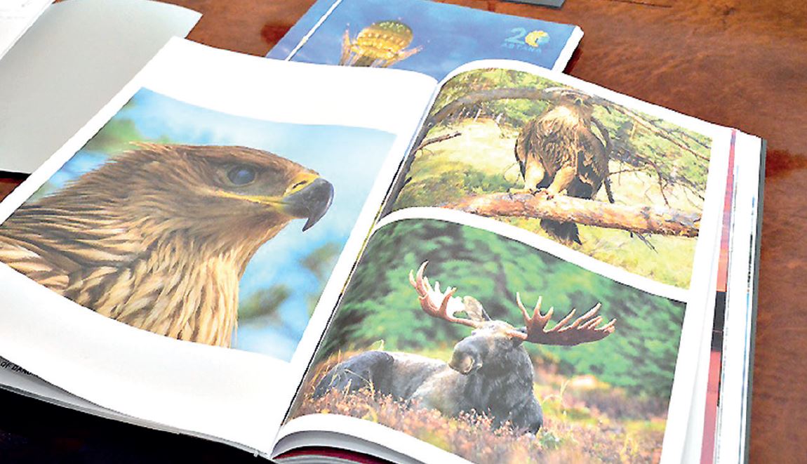 بۋراباي ۇلتتىق پاركىنە ارنالعان «A day in Burabay» اتتى بىرەگەي فوتوالبوم شىقتى