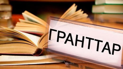 سولتۇستىك قازاقستاندا گرانت سانى بەس ەسە كوبەيەدى