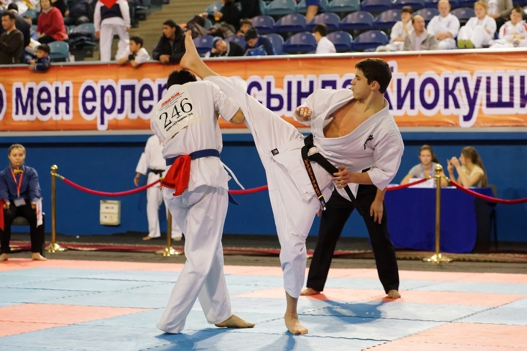 استانادا كيوكۋشينكاي-كان كاراتەدەن ازيا چەمپيوناتى وتەدى