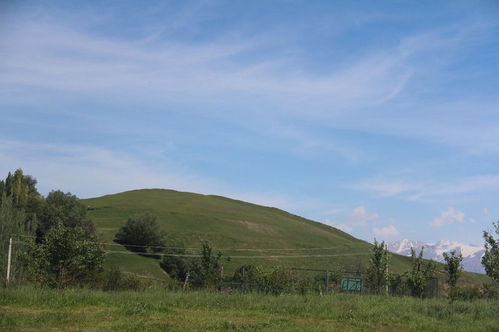 تۇركىستاندى تۇگەل بيلەگەن ەڭسەگەي بويلى ەر ەسىم بەينەسى ەل جادىندا