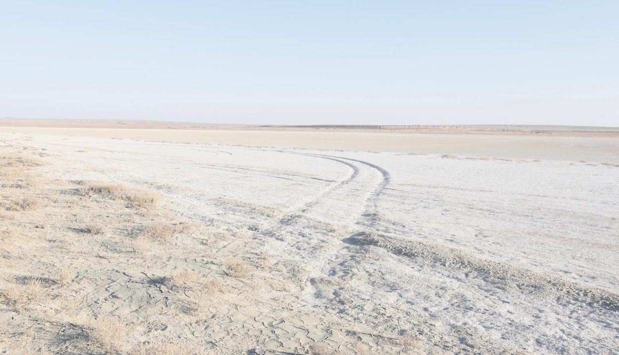 قىزىلوردا وبلىسىندا وازيستىك سۋارمالاۋدى كورسەتۋ جوباسى تانىستىرىلدى