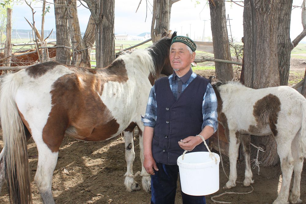 سەكسەنىندە جەلى تارتىپ, بيە ساۋىپ جۇرگەن جايناق قوساقباەۆ
