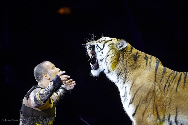 جولبارىستى جۇگەندەگەن اۋلەت الماتىدا ونەر كورسەتەدى 