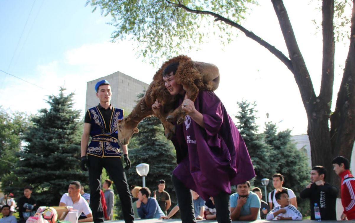 الماتىدا قوشقار كوتەرۋدەن جارىس ءوتتى