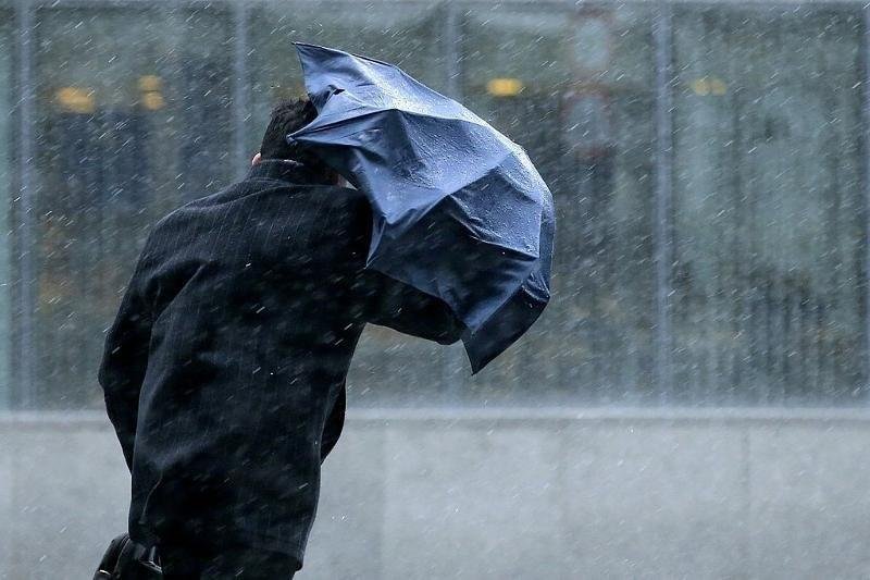 17 ماۋسىمعا ارنالعان اۋا رايى بولجامى