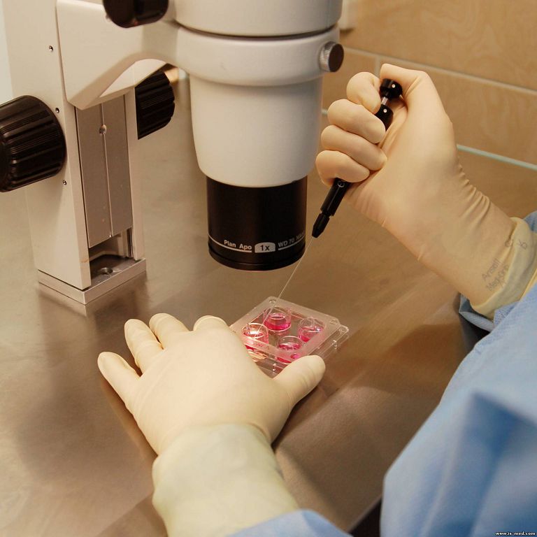 الەمدە اۋتويممۋندى اۋرۋلار كوبەيىپ بارادى