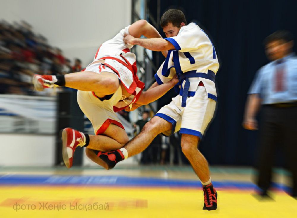 بالپ-بالپ باسقان بالۋاندار قايدا؟