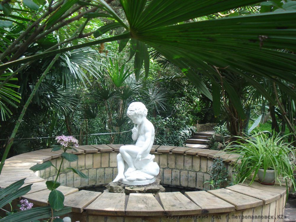 سقو-داعى بوتانيكالىق باق قايتا جاڭعىرادى