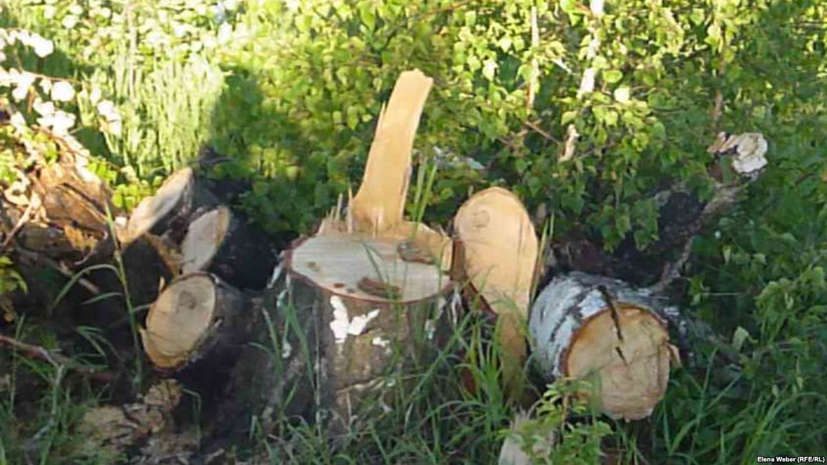 ورماندى وتاۋعا جول بەرىلمەسىن