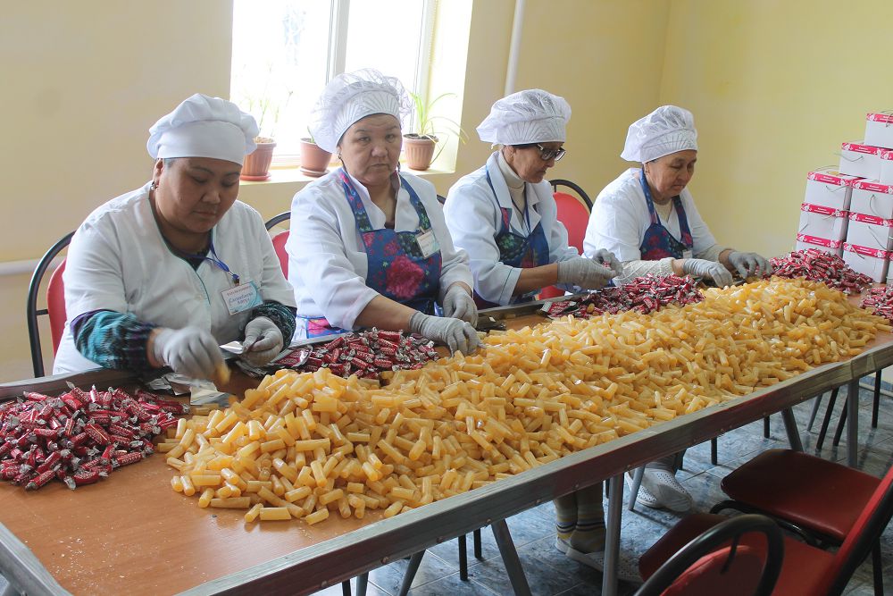 قىزىلوردادا 5 ايدا 1,5 مىڭ­داي كاسىپكەرلىك سۋب­ەكتىسى ءتىر­كەلىپ, 1700-دەي جۇمىس ور­نى اشىلعان