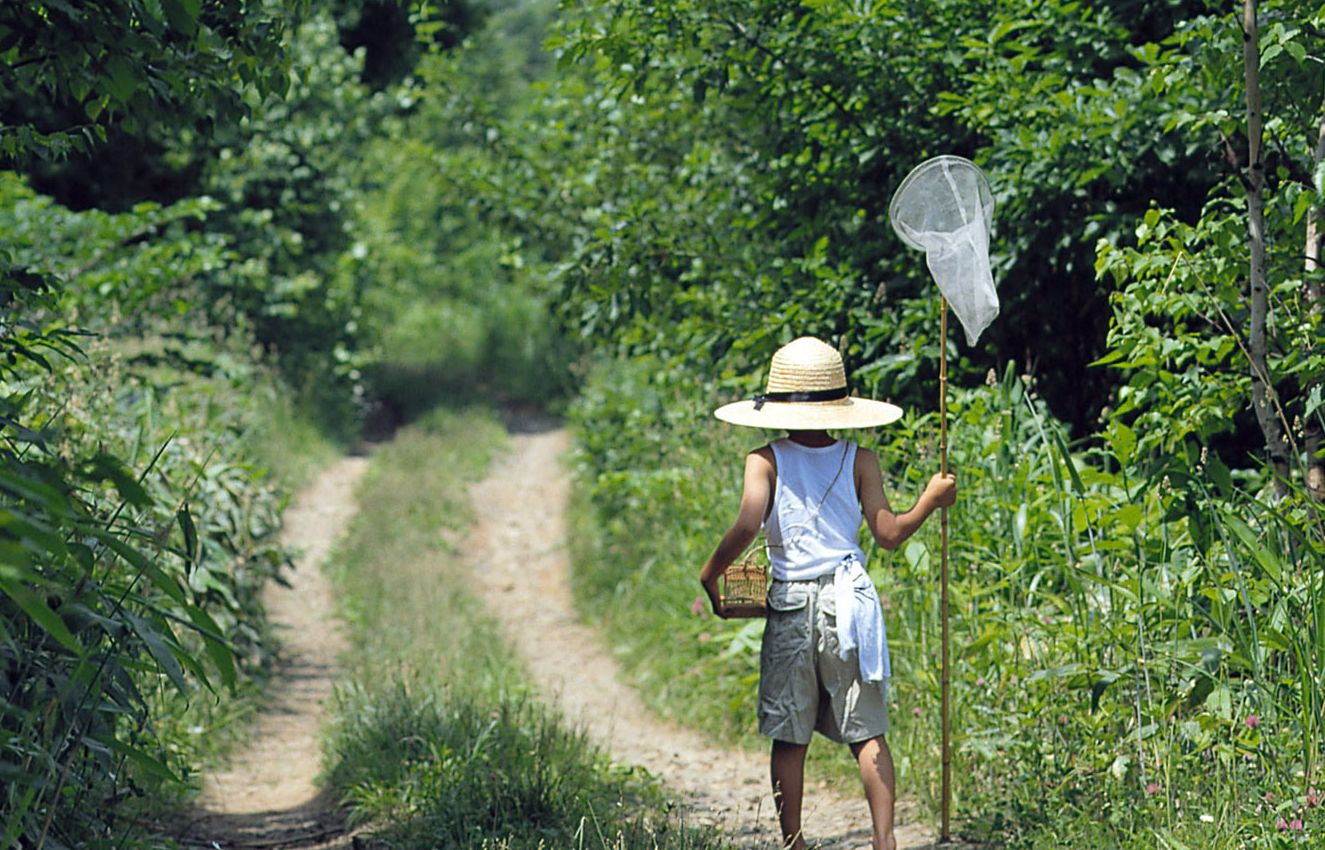 شقو وقۋشىلارى ورماندا دەمالادى