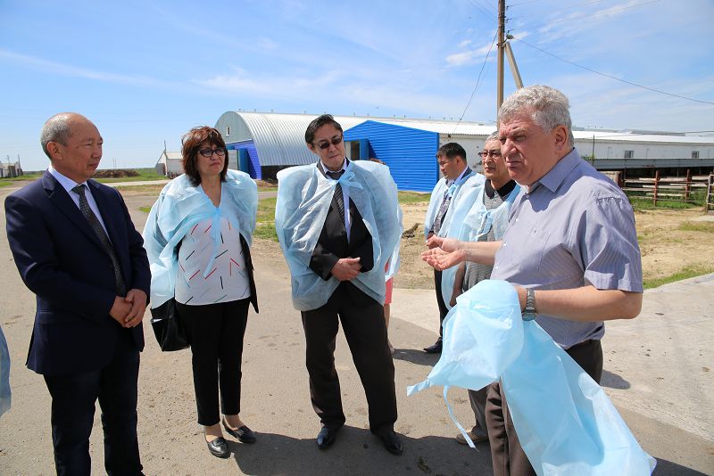 اۋديتوريادان – وندىرىسكە