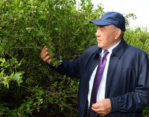 ەلباسى استانانىڭ «جاسىل بەلدەۋىنىڭ» نىساندارىن ارالاپ كوردى