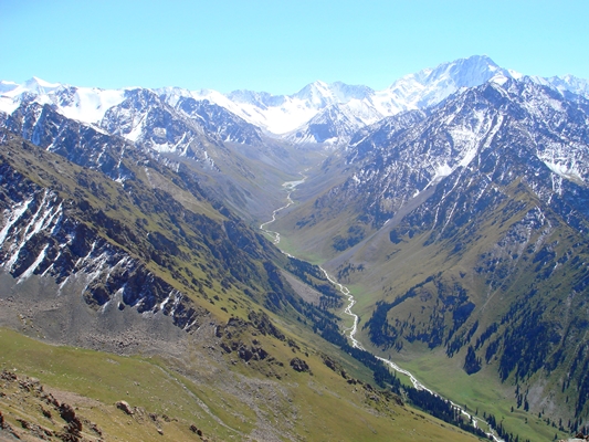 قاراشەۆتاردىڭ قارىشتى قادامى