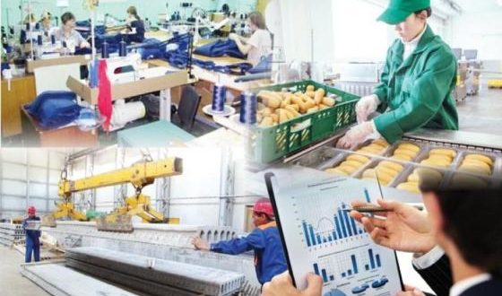 سىرداريا اۋدانىندا جۇمىسسىزدىق دەڭگەيى تومەندەيدى