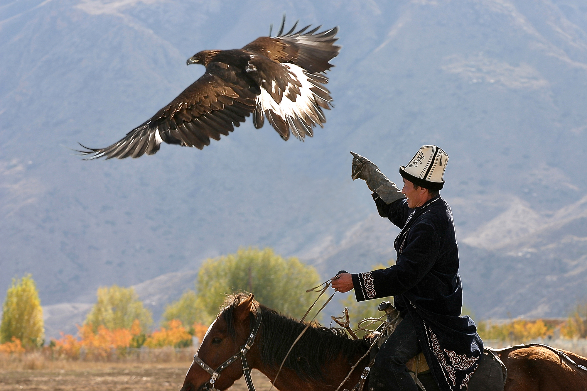 ەلوردادا ەكىنشى مارتە «PHOTOfest.KZ» حالىقارالىق فوتوفەستيۆالى وتەدى