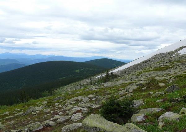 جۋالىنىڭ جاسىل تابيعاتى دەمالىسقا قولايلى