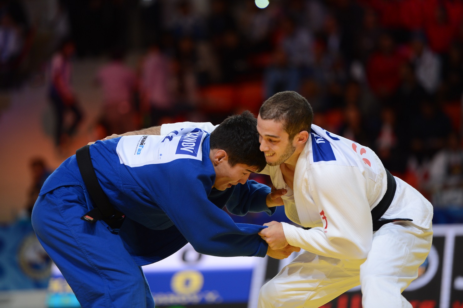 دزيۋدودان ەۋروپا كۋبوگىنا قازاقستان اتىنان 12 بالۋان قاتىسادى