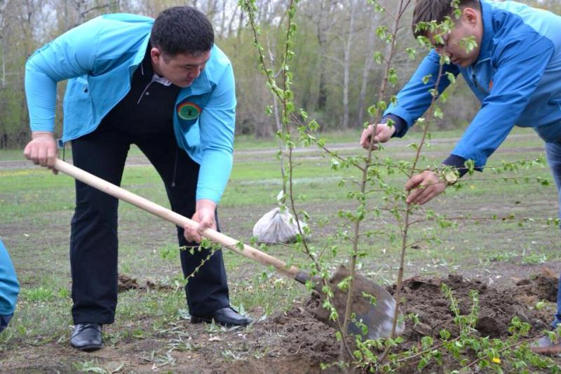ەلىمىزدە العاش رەت «جاسىل» سەنبىلىك وتەدى
