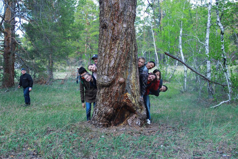 توبىل-تورعاي وڭىرىندەگى تۋريزم لوگيستيكاعا تاۋەلدى بولىپ تۇر