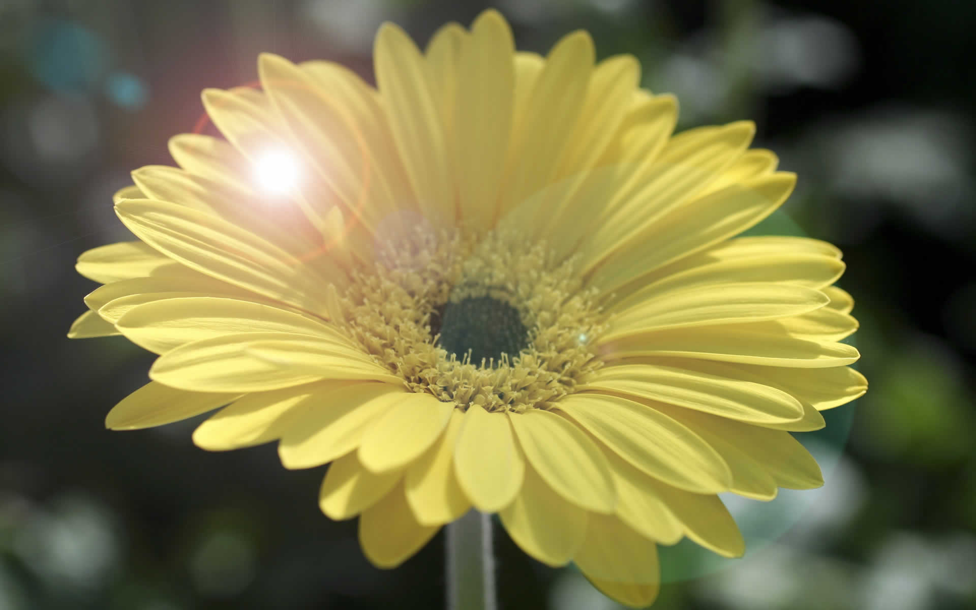 14 شىلدەگە ارنالعان اۋا رايى بولجامى