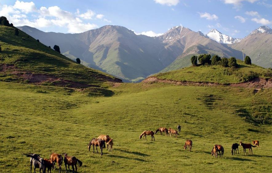 «Kazakh Tourism» كومپانياسى ەكسپەديتسيا ۇيىمداستىرماق