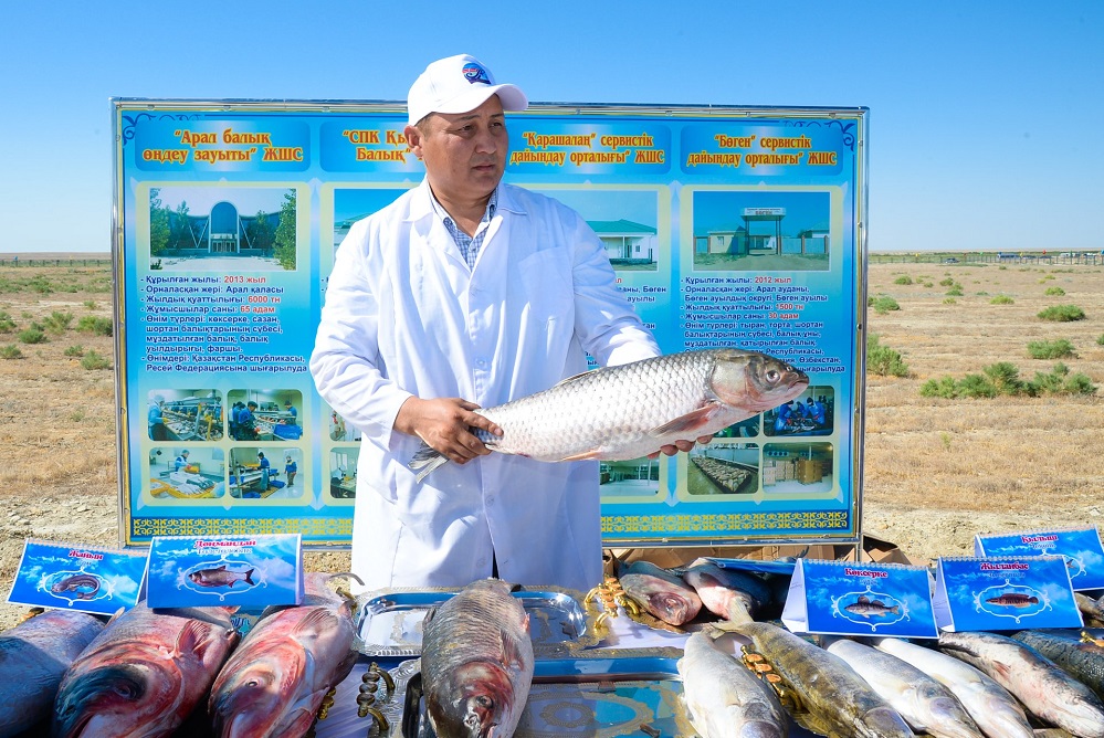 ارالدا بالىق ەكسپورتى سەگىز ەسەگە ارتتى