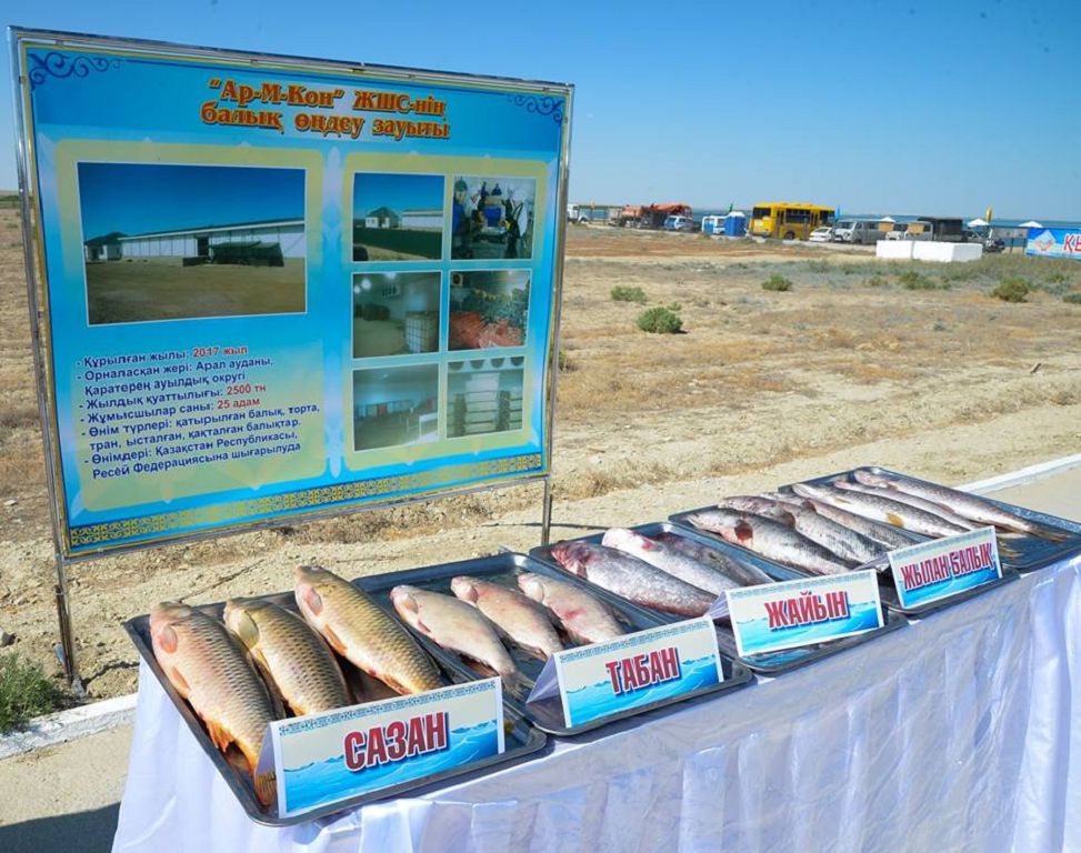 بالىق اۋلاۋ جيىرما ەسەگە ارتتى