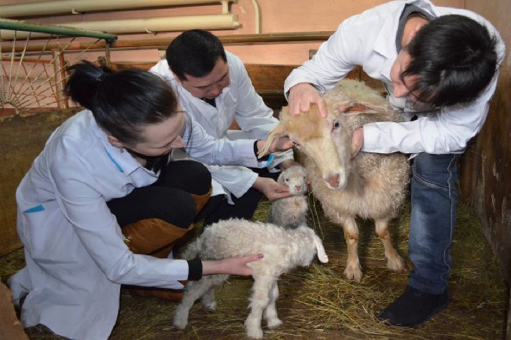 مالدارىگەرلىك قىزمەت ۋاقىت تالابىنا ساي ما؟