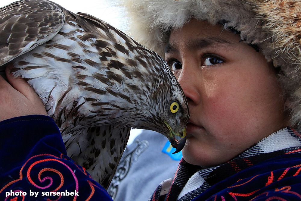 قارشىعا مەن قارا بالا