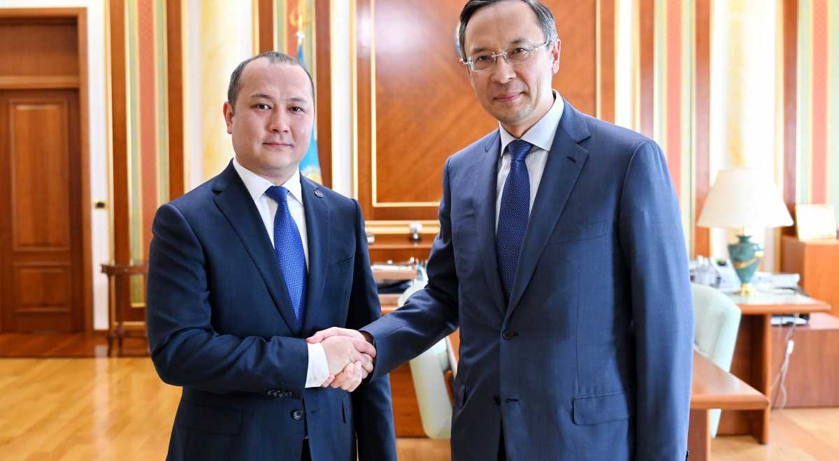 سىرتقى ىستەر ءمينيسترى حالىقارالىق ۇيىم باسشىلارىمەن كەزدەستى