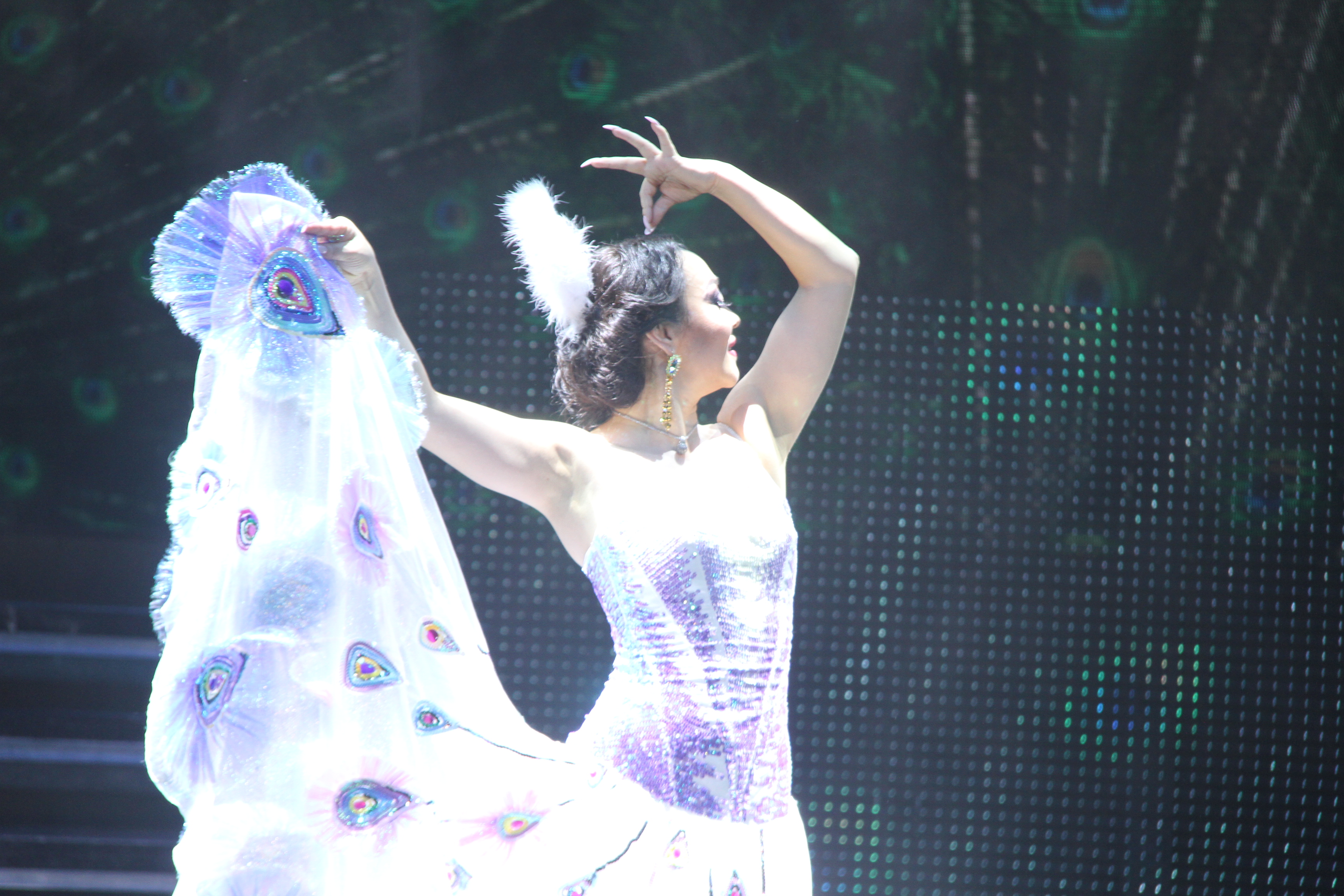 اقش-تىڭ اتاقتى حورەوگرافتارى استانادا شەبەرلىك سىنىپتارىن وتكىزەدى