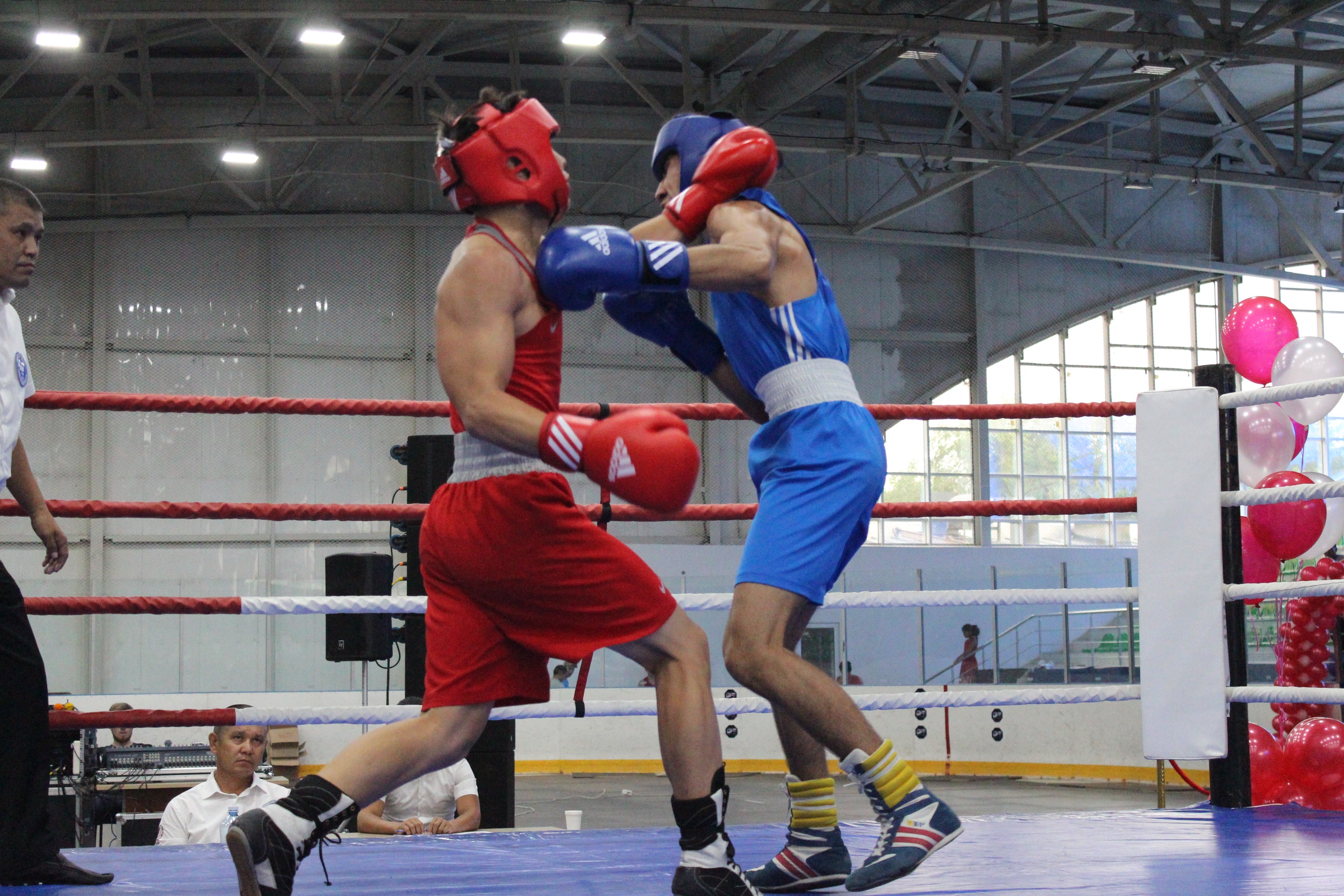 بوكستان اعايىندى ايتەنوۆتەردىڭ ءتۋرنيرى اياقتالدى