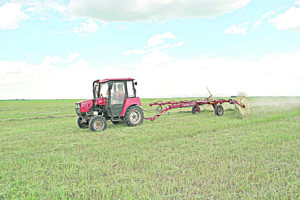 شابىندىققا شالعى ءتۇستى