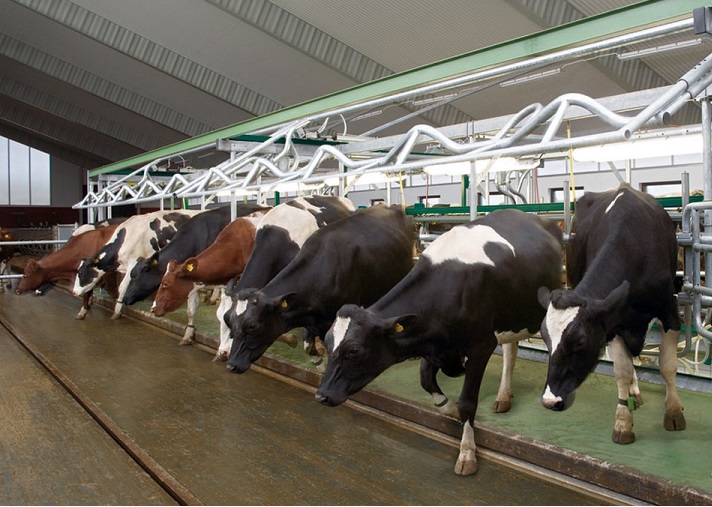 اۋىل شارۋاشىلىعىنىڭ اۋقىمدى ماسەلەلەرى تالقىلاندى