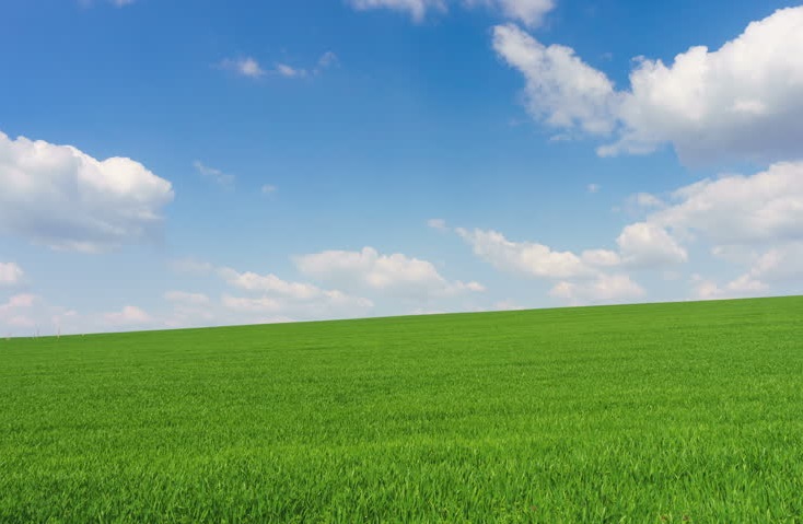 فەرمەر, ءونىمدى مول بەر!