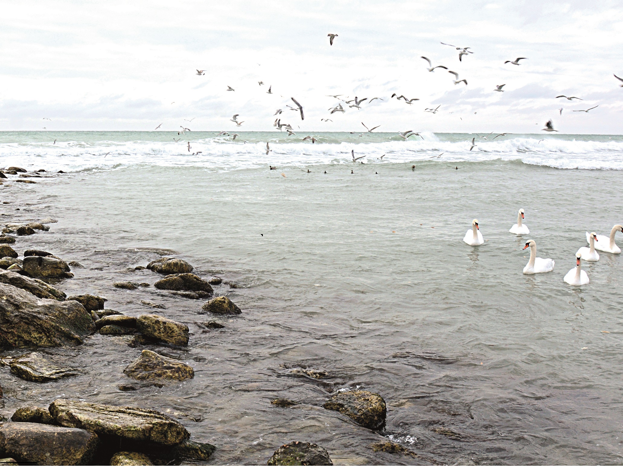 كاسپي مارتەبەسى: بەس مەملەكەتتى تولعاندىرعان ماسەلە اقتاۋ سامميتىندە قارالادى