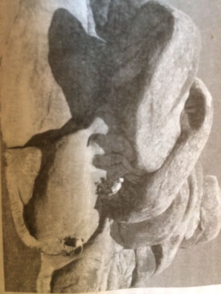 شوقاندى ىنتىقتىرعان شارتاس