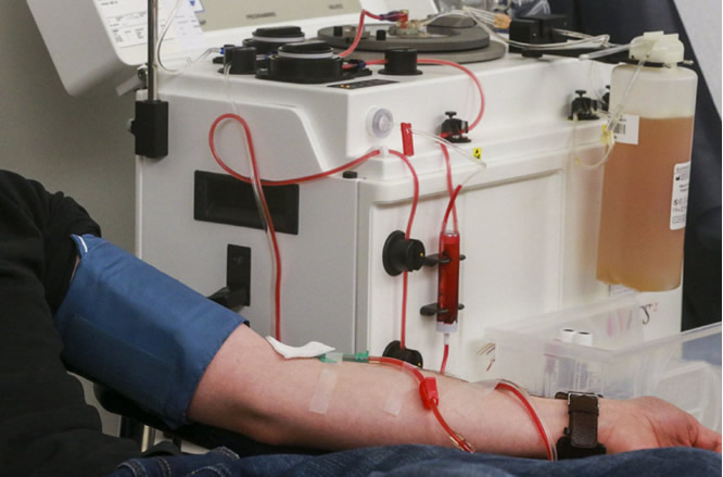 سولتۇستىك قازاقستاندا قان تازارتۋ ورتالىعى اشىلدى