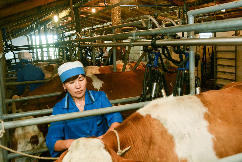 اۋىلدىق كووپەراتيۆتەرگە سەرپىلىس كەرەك