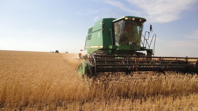 شارۋالاردىڭ بازىناسى بار