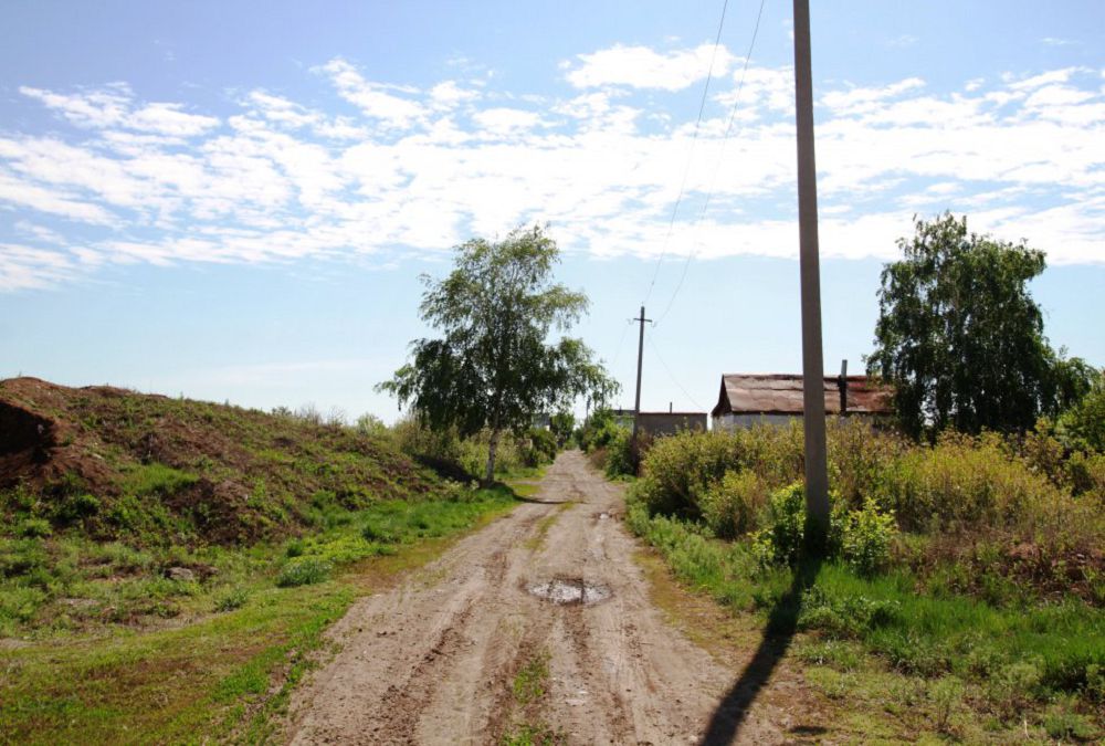 شاعىن اۋدانداعى تۇيتكىلدى ماسەلە قاشان شەشىلەدى؟