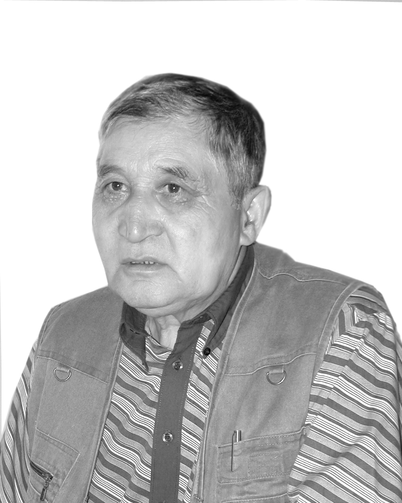 سار دالا ساعىنار ءالى سابىرجانىن