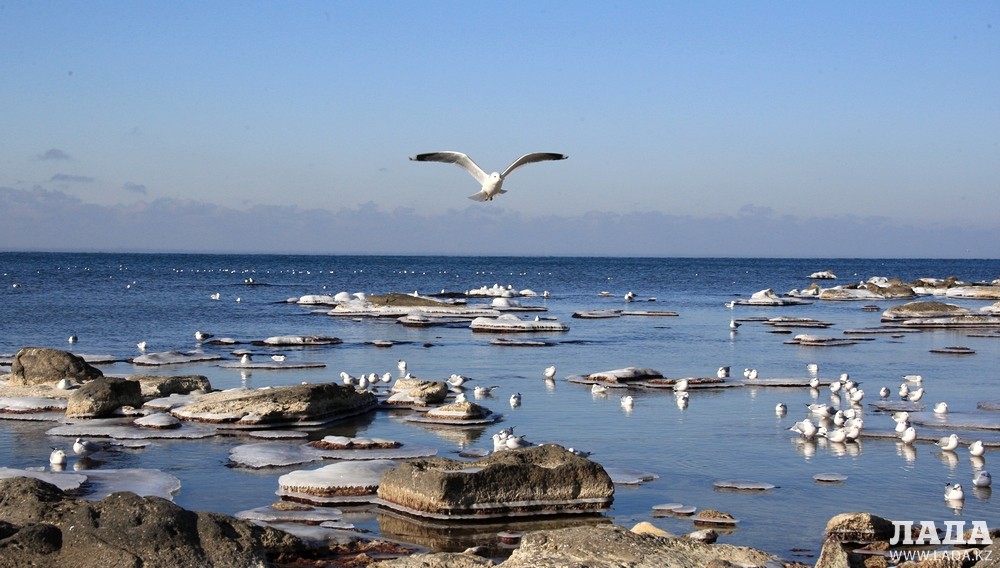 كاسپي ءسامميتىنىڭ بەس تاراپپەن كەلىسىلگەن كۇن ءتارتىبى نەگىزگى ءۇش ماسەلەنى قامتيدى