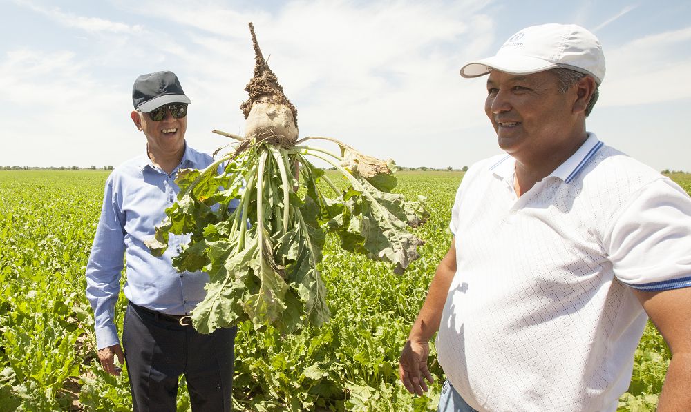 كوكسۋ وزەنىن جاعالاعان ەلدىڭ ەڭبەگى جەمىستى