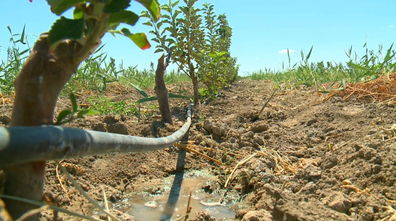 جالاعاشتا سور باسقان جەرلەر قايتا قالپىنا كەلتىرىلەدى